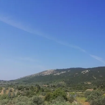 Casaeudokia *